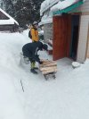Волонтерская помощь.