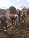 Волонтеры в деле